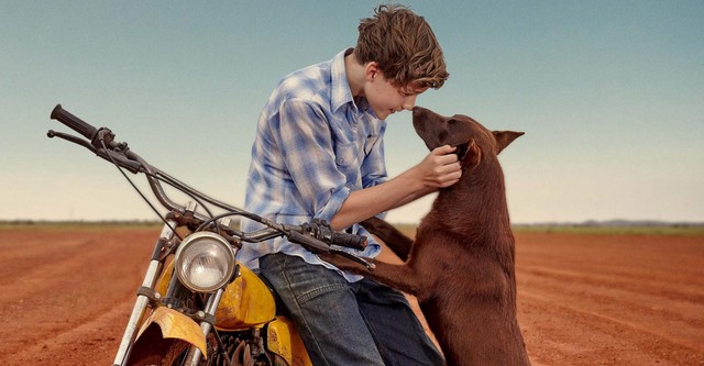 Red dog true blue full store movie netflix